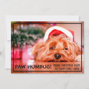 Tarjeta Festiva Navidades Mascotas Humbug de Dog Photo Paw