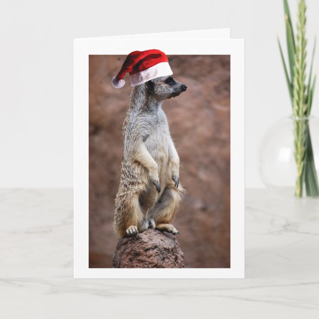 Tarjeta Festiva Navidades MeerKat (Anverso)