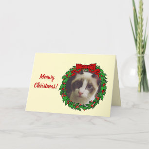 Tarjeta Festiva Navidades Meowy del marco de la flor hueca Holly a