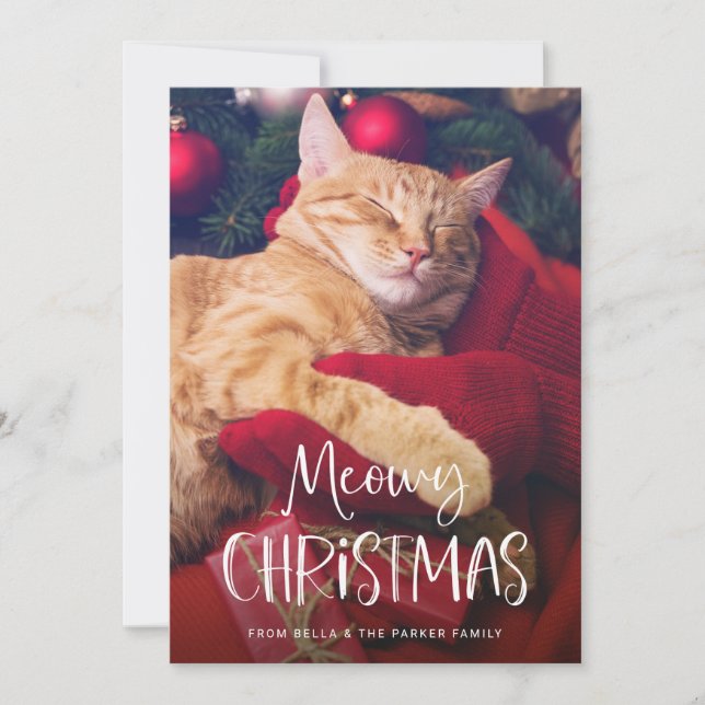 Tarjeta Festiva Navidades Meowy | Divertida foto de un gato Mascot (Anverso)