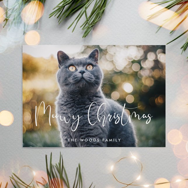 Tarjeta Festiva Navidades Meowy Fotografía de gato elegante de cal (Subido por el creador)