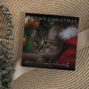 Tarjeta Festiva Navidades Meowy   Navidades de fotografía