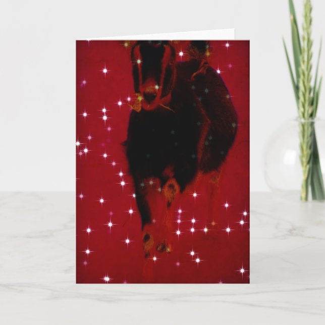 Tarjeta Festiva Navidades Misha (Anverso)