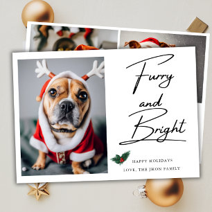 Tarjeta Festiva Navidades Mistletoe de foto de perro Mascota brill