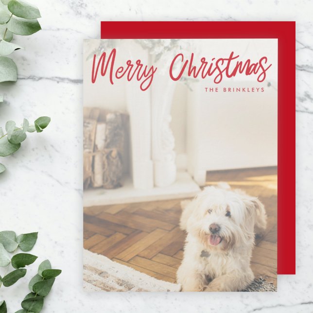 Tarjeta Festiva Navidades modernos | Foto de perro escrita a mano  (Subido por el creador)