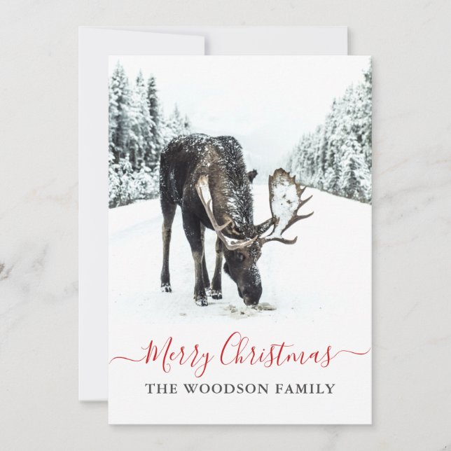 Tarjeta Festiva Navidades Moose Winter Snow Merry Christmas (Anverso)