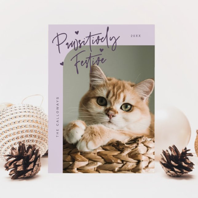 Tarjeta Festiva Navidades morados de la foto de un gato patéticame (Subido por el creador)
