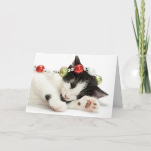 Tarjeta Festiva Navidades Morning Kitten