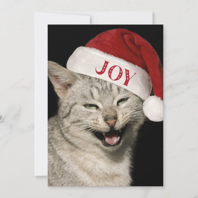 Tarjeta Festiva Navidades muy graciosos de fotos de Santa Cat Laug (Anverso)