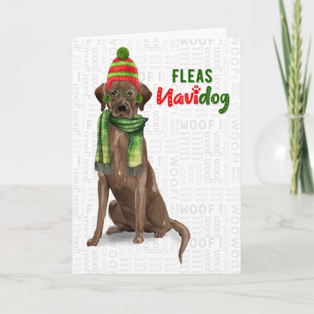 Tarjeta Festiva Navidades Navidog de flores divertidas de Chocolat (Anverso)