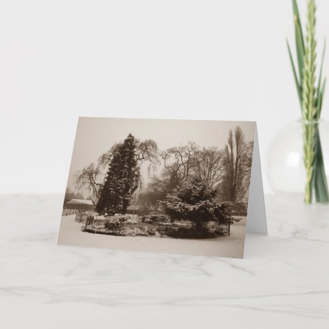 Tarjeta Festiva navidades nevan en el parque foto panorámica origi (Anverso)