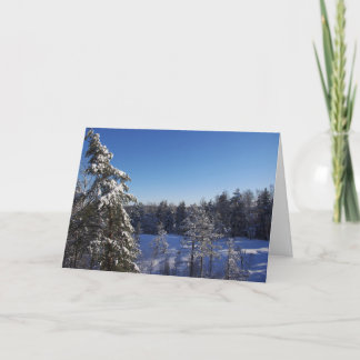 Tarjeta Festiva Navidades Nieve Árboles Cubiertos En Bosque De Inv