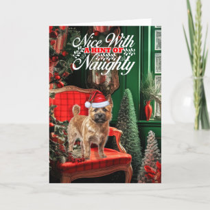 Tarjeta Festiva Navidades Norwich Terrier Perro travieso o Niza