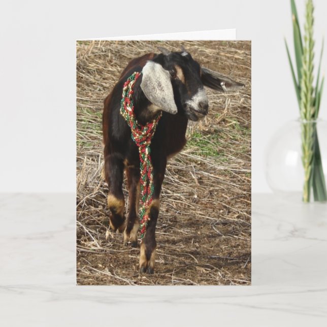 Tarjeta Festiva Navidades Nubian Goat Kid (Anverso)
