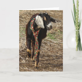 Tarjeta Festiva Navidades Nubian Goat Kid