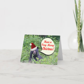 Tarjeta Festiva Navidades Oso