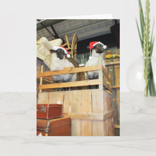 Tarjeta Festiva Navidades ovinos