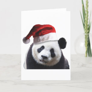 Tarjeta Festiva Navidades Panda Bear