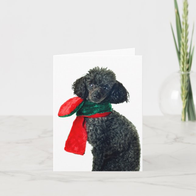 Tarjeta Festiva Navidades: Papel negro de perro cangrejo de perro  (Anverso)