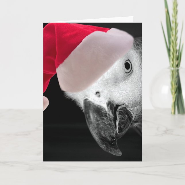 Tarjeta Festiva Navidades Parrot (Anverso)