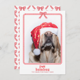 Tarjeta Festiva Navidades Paw Humbug Mascota Foto Coquette