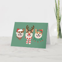 Navidades Pembroke Welsh Corgi Dogs