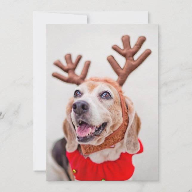 Tarjeta Festiva Navidades Perro Beagle con orejas de reno festivo (Anverso)