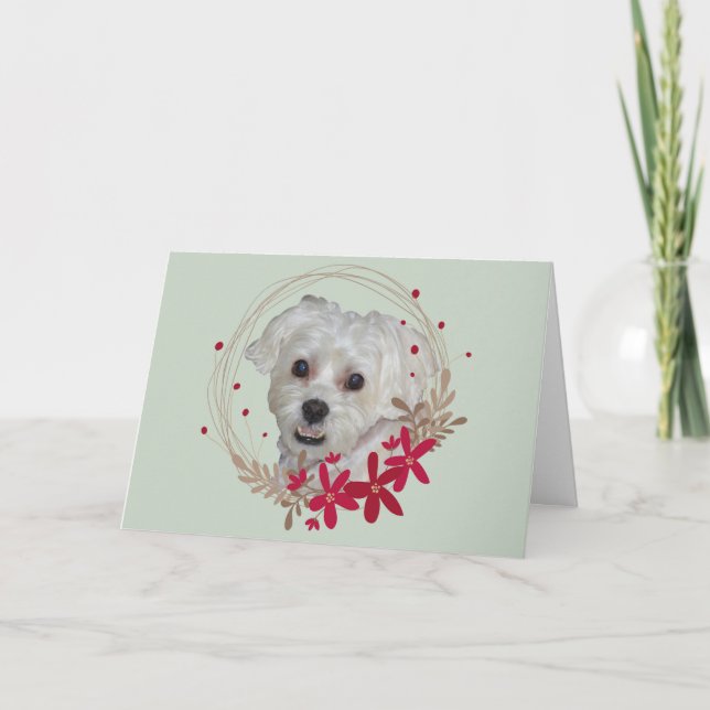 Tarjeta Festiva Navidades, perro blanco de Mascota (Anverso)