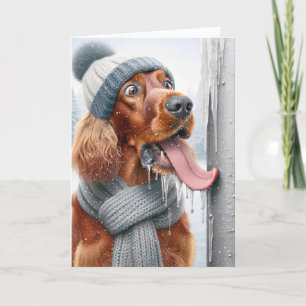 Tarjeta Festiva Navidades Perro De Los Setter Irlandeses Que Licía