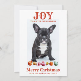 Tarjeta Festiva Navidades Perros Personalizados Alegran A Cuatro L