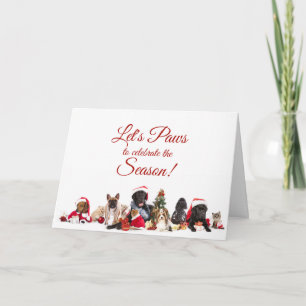Tarjeta Festiva Navidades   Perros y gatos