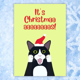 Tarjeta Festiva Navidades personalizado de gatos de esmoquín
