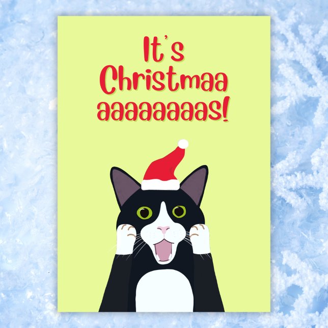 Tarjeta Festiva Navidades personalizado de gatos de esmoquín (Subido por el creador)