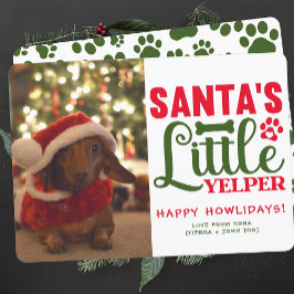 Tarjeta Festiva Navidades personalizados de fotos de perros callej