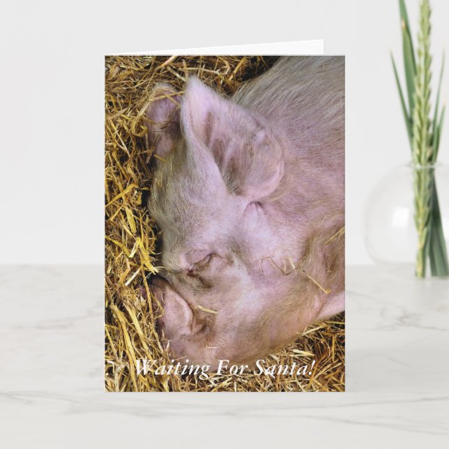 TARJETA FESTIVA NAVIDADES PIGS (Anverso)