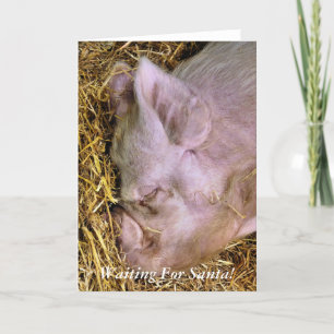 TARJETA FESTIVA NAVIDADES PIGS