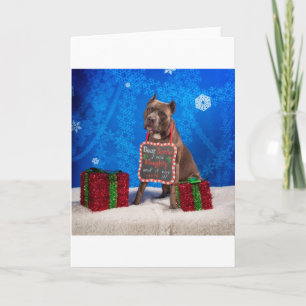 Tarjeta Festiva Navidades Pit-Bull
