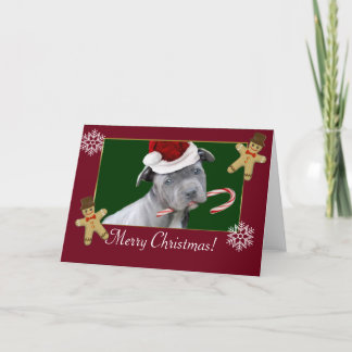 Tarjeta Festiva Navidades Pitbull
