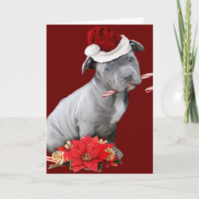 Tarjeta Festiva Navidades Pitbull cachorro (Anverso)