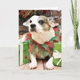 Tarjeta Festiva Navidades - Pitbull X - Opie