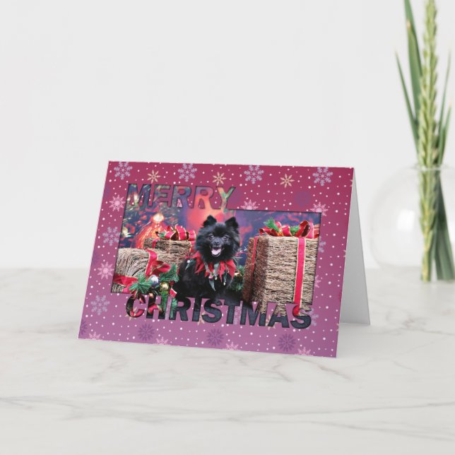 Tarjeta Festiva Navidades - Pomeranian - Mazie (Anverso)