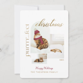 Tarjeta Festiva Navidades Purrrr.fun y acogedor gato tres foto