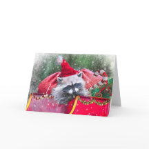 Navidades Raccoon descansando en Santa Sleigh
