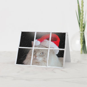 Tarjeta Festiva Navidades Ragdoll Cat