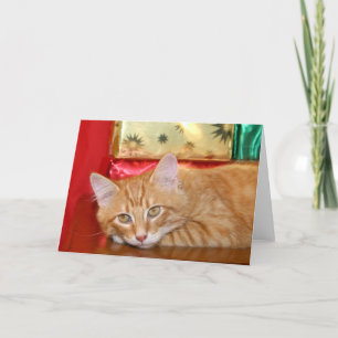 Tarjeta Festiva Navidades rápidos