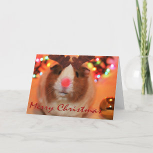 Tarjeta Festiva Navidades Rednose
