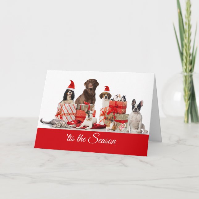 Tarjeta Festiva Navidades | Regalos de Bonito de perros y un gato (Anverso)