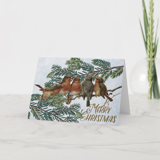 Tarjeta Festiva Navidades Robin Birds europeos festejan el Evergre (Anverso)