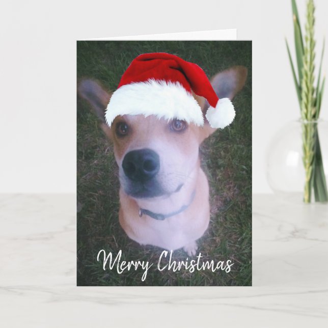 Tarjeta Festiva Navidades rojos con foto de perro personalizado (Anverso)