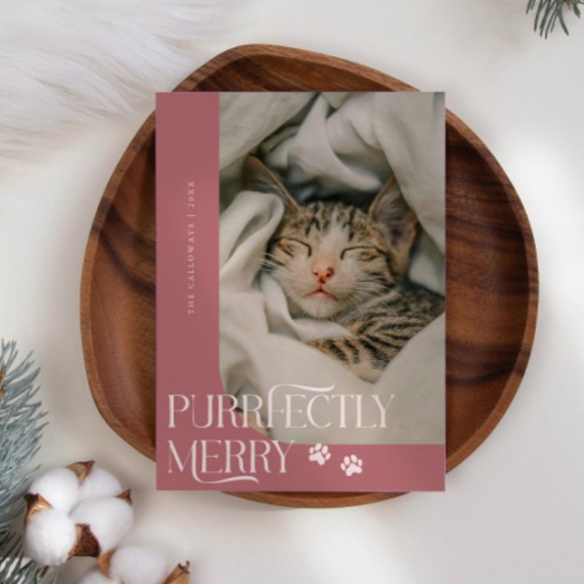 Tarjeta Festiva Navidades rosados con foto de un gato de merry pur (Subido por el creador)